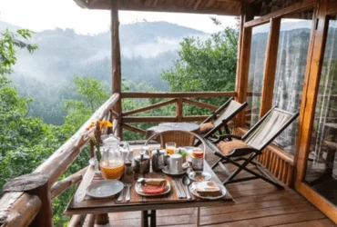 Best of Uganda Safari Adventure
