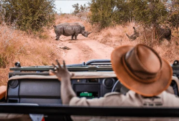 Best of Uganda Safari Adventure